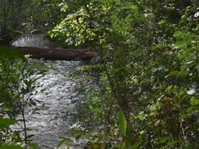 boia cross duto quebo boia cross duto quebo