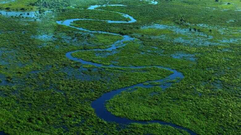 pantanal pantanal