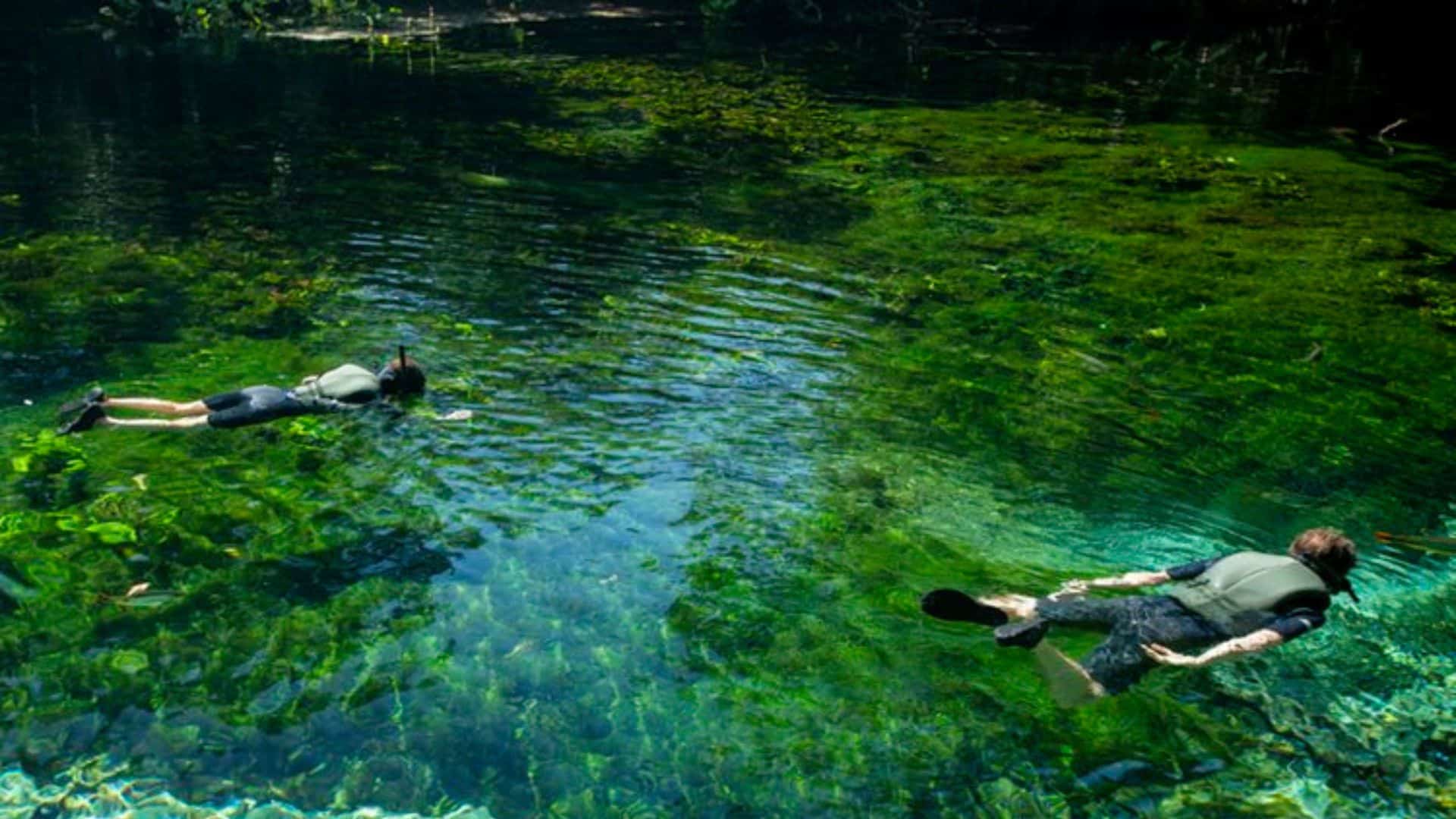 Aquario Natural Foto SECTUR Bonito MS Fotografo Hudson Garcia 3 1 Flutuação Nascente Azul