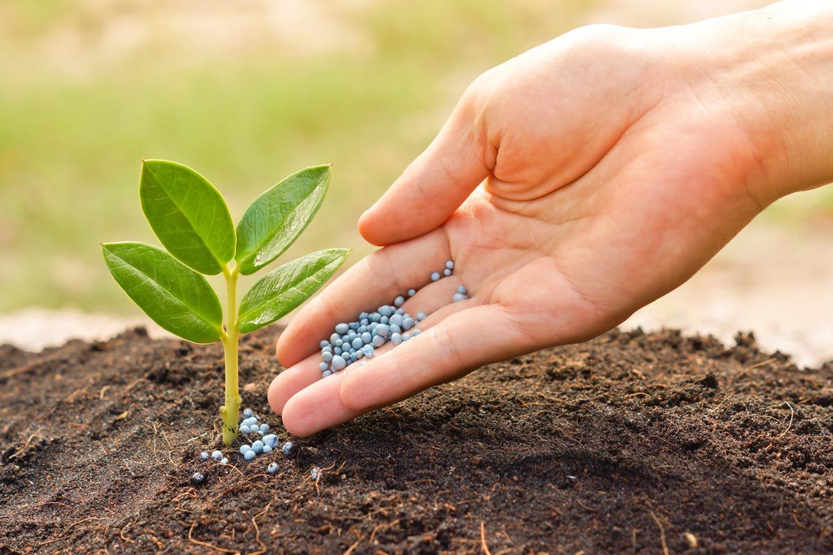 Mato Grosso avalia produção de fertilizantes com minerais para reduzir dependência externa