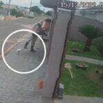 Funcionário da Energisa é investigado por crime de maus tratos a animais