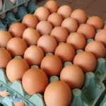 Preços dos ovos caem para os menores patamares desde jan/25