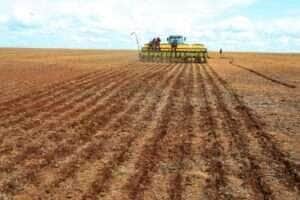 Indea prorroga prazo de cadastramento obrigatório de área cultivada de soja em Mato Grosso