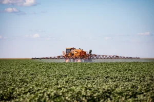 Mato Grosso impulsiona estimativa agrícola e fortalece liderança nacional