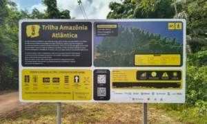 Trilha Amazônia Atlântida será a maior da América Latina na COP30