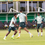 América-MG x Cuiabá: onde assistir ao vivo, escalações e tudo sobre o duelo decisivo da Série B