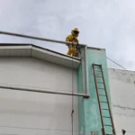 Enxame de abelhas mobiliza bombeiros em Campo Verde