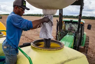 Agropecuária gera 10 mil empregos em Mato Grosso
