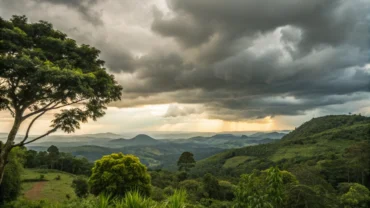 Cláudia terá quinta-feira nublada e clima ameno em 14/05/2026