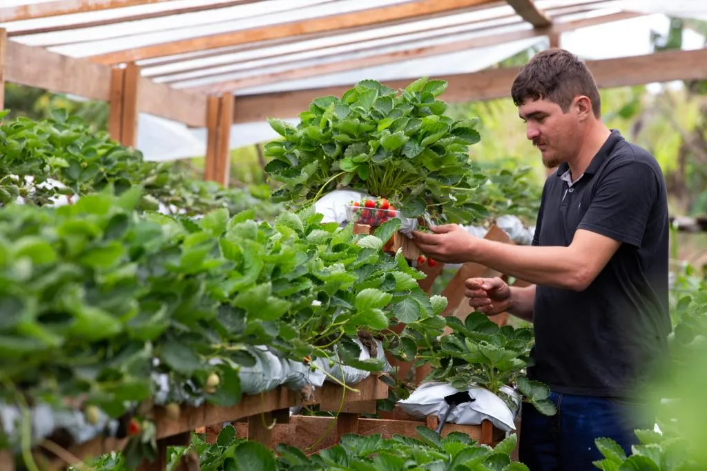 MT Produtivo recebe inscrições até 26 de outubro