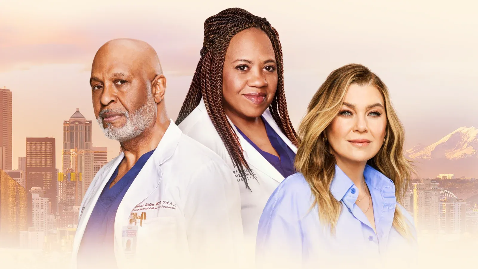 Grey’s Anatomy: onde assistir e temporadas em 2026
