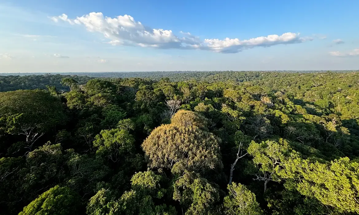 Desmatamento evitado na Amazônia e no Cerrado reduziu emissões