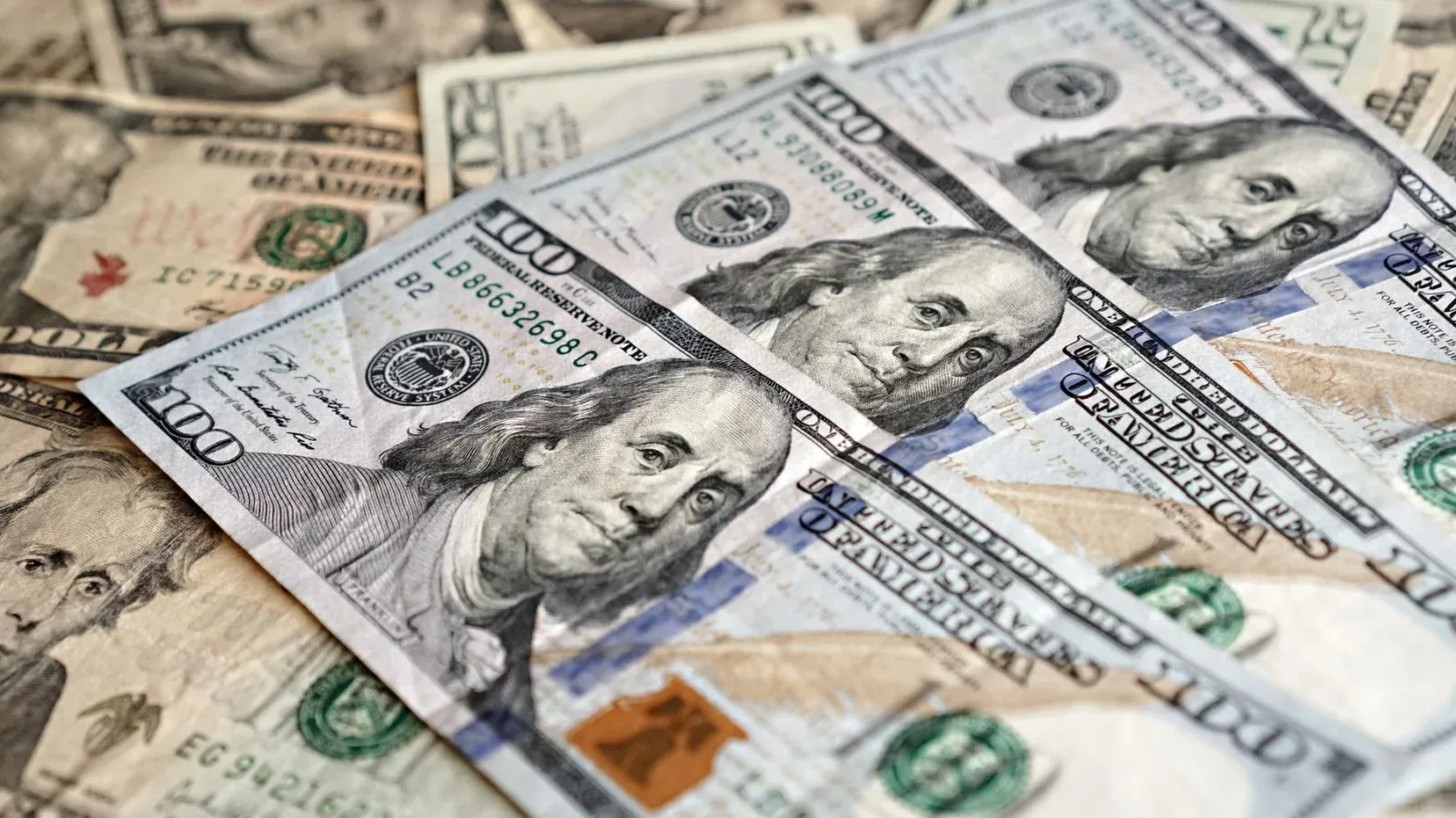 Dólar hoje: veja a referência para 29 de outubro