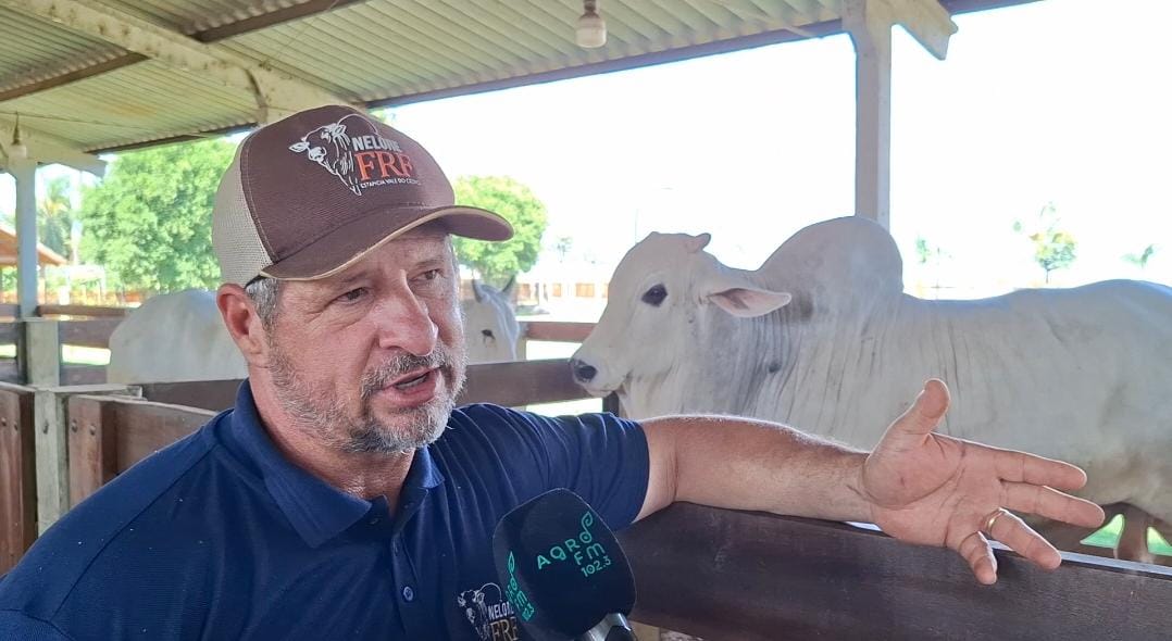 Em Mato Grosso, polo estratégico do agronegócio, o avanço da tecnologia e o aperfeiçoamento constante do rebanho têm garantido a competitividade do setor