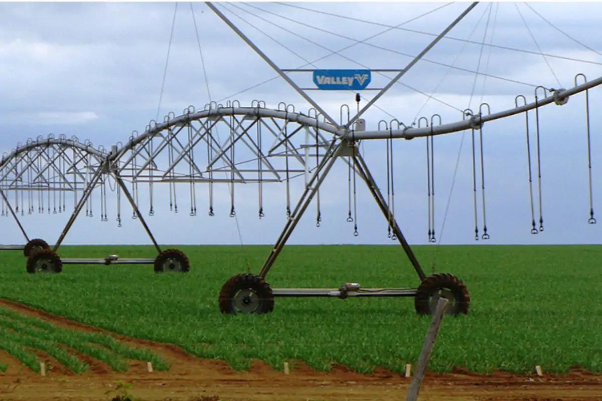 TJMT derruba regras da lei de irrigação e exige atenção de produtores em Mato Grosso
