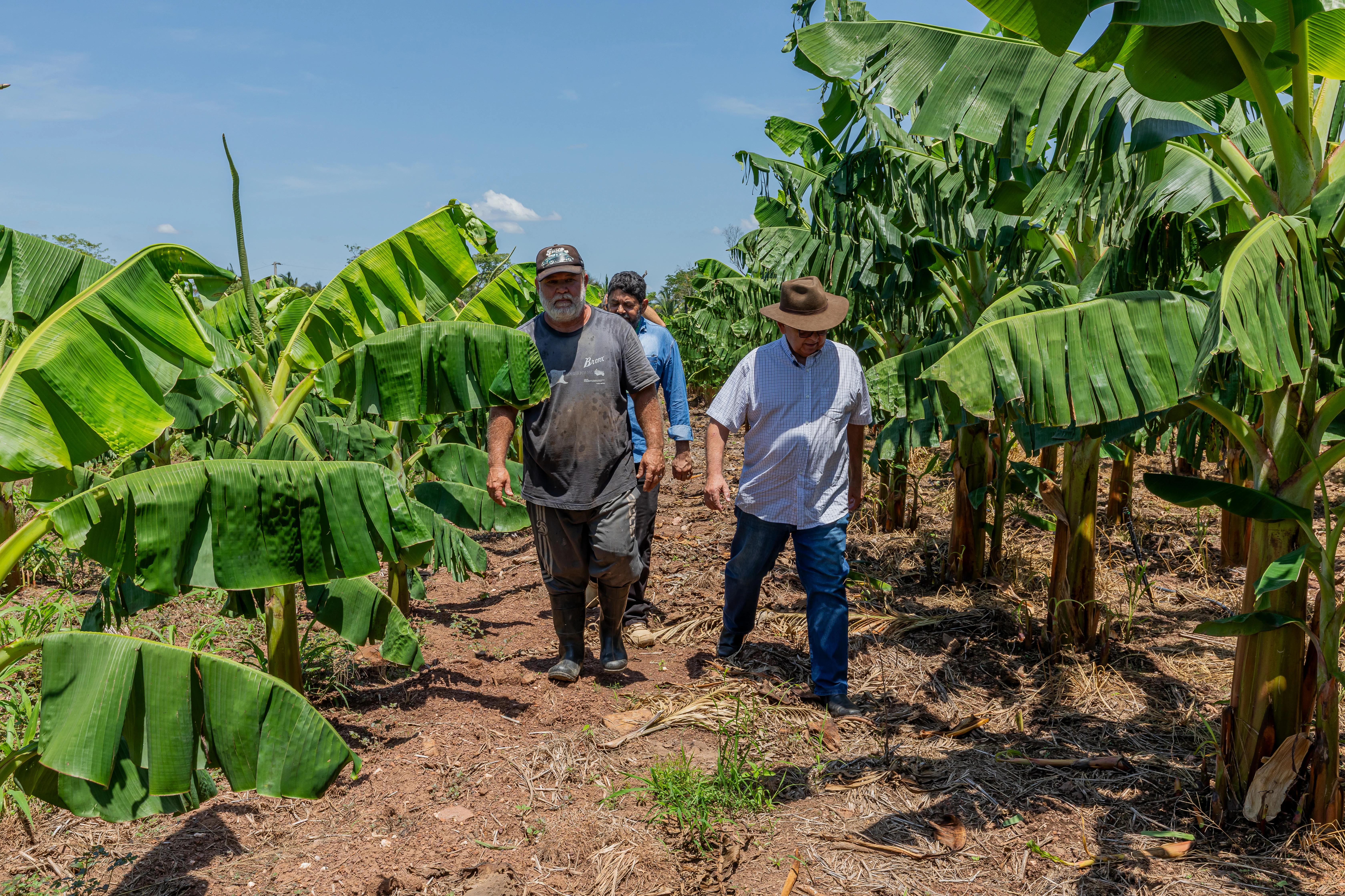 Agricultura familiar em Cuiabá recebe suporte técnico e orientação para venda de alimentos