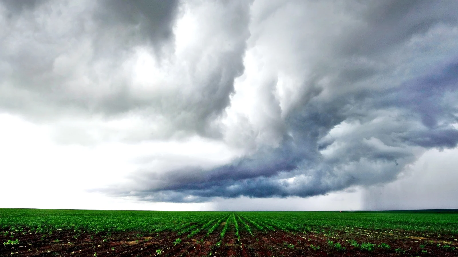 Segunda-feira abre janela favorável de chuvas para o agro em MT, mas alerta sobre El Niño exige preparo do produtor