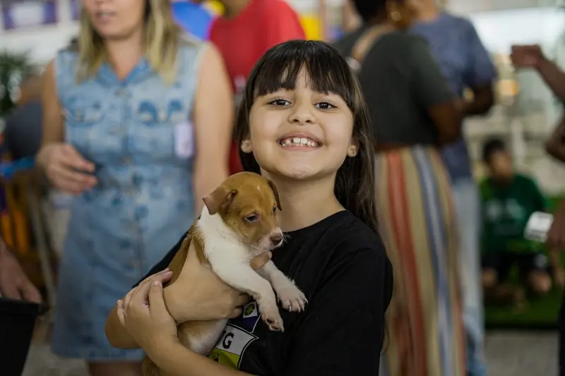 Lucas do Rio Verde implanta plataforma digital para facilitar resgates e adoção responsável de animais